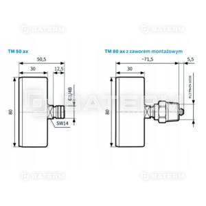 TERMOMANOMETR TYLNY 80mm 20-120C 0-6 BAR AFRISO