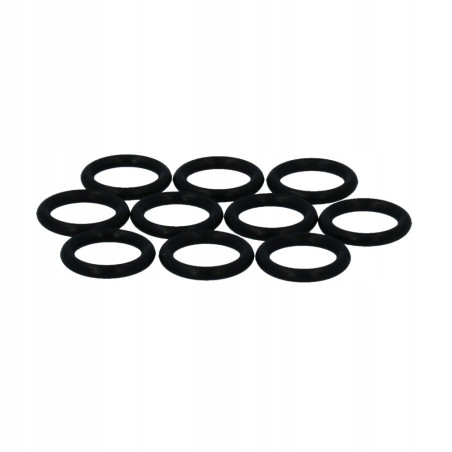 Uszczelka Śrubunka 3/4" Oring 10 sztuk