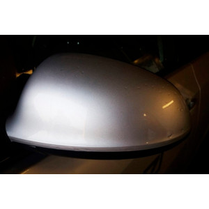 Płyn do zmywania owadów z karoserii TENZI Mosquitos / 1l z atomizerem