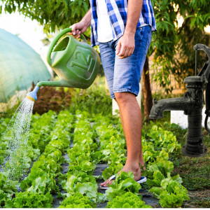 POMPA ABISYNKA RĘCZNA OGRODOWA OZDOBNA CZARNA ŻELIWNA DO WODY MOCNA WYDAJNA