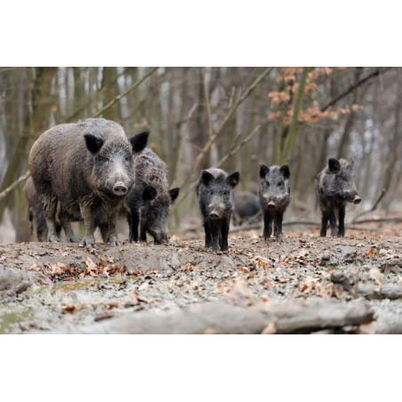 Granulat odstraszający zwierzynę leśną - Antydzik 2 kg odstraszacz na dziki