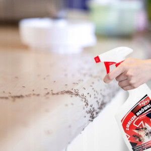 Preparat Na Mrówki 500ml Opryskiwacz Oprysk Trutka Przeciwko Mrówkom