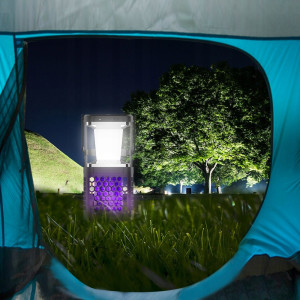 Solarna Lampa owadobójcza NOVEEN IKN895 LED IP20 LAMPKA 3w1 komary czarna